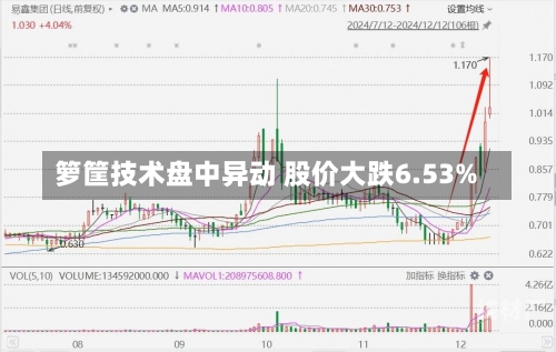 箩筐技术盘中异动 股价大跌6.53%