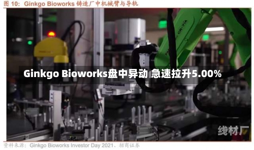 Ginkgo Bioworks盘中异动 急速拉升5.00%