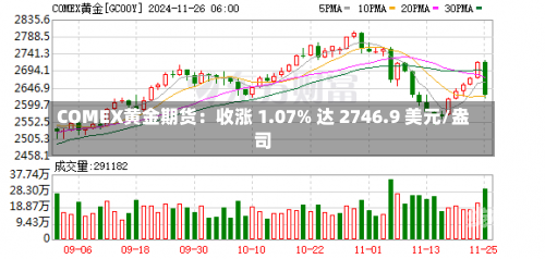 COMEX黄金期货：收涨 1.07% 达 2746.9 美元/盎司