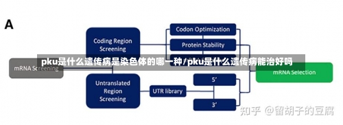 pku是什么遗传病是染色体的哪一种/pku是什么遗传病能治好吗