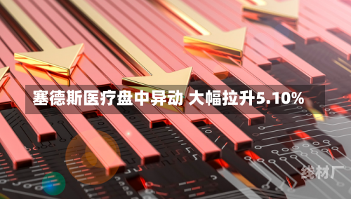 塞德斯医疗盘中异动 大幅拉升5.10%