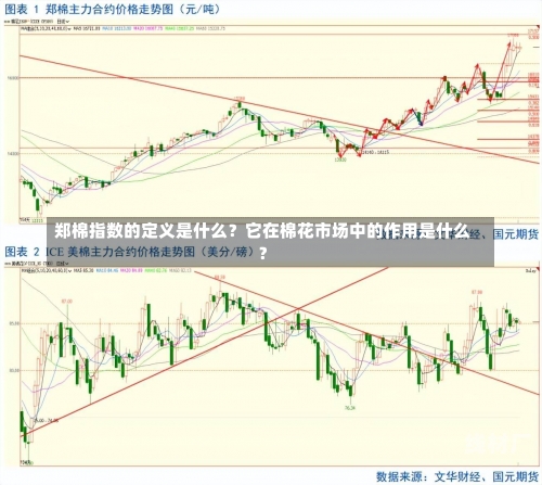 郑棉指数的定义是什么？它在棉花市场中的作用是什么？