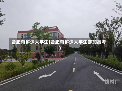 合肥有多少大学生(合肥有多少大学生参加高考)