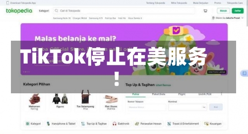 TikTok停止在美服务！