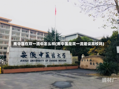 南中医在双一流中怎么样(南中医是双一流建设高校吗)