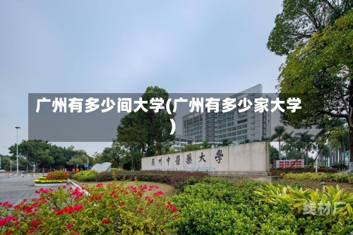 广州有多少间大学(广州有多少家大学)