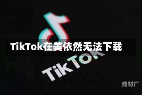 TikTok在美依然无法下载