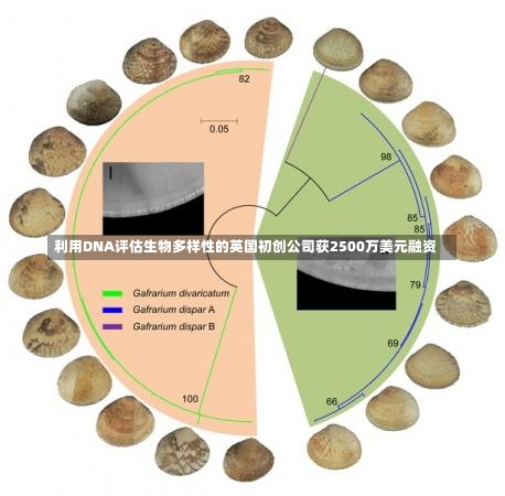 利用DNA评估生物多样性的英国初创公司获2500万美元融资