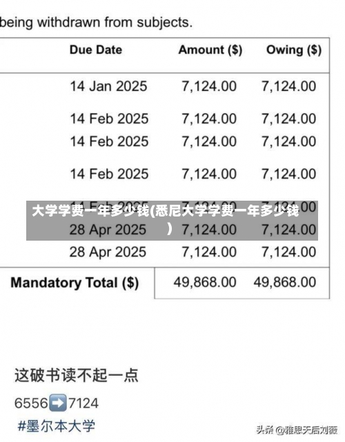 大学学费一年多少钱(悉尼大学学费一年多少钱)