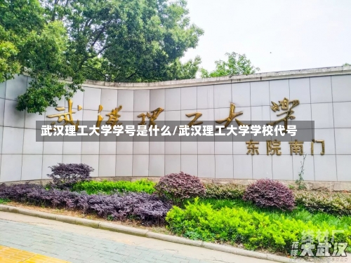 武汉理工大学学号是什么/武汉理工大学学校代号