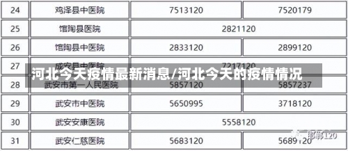 河北今天疫情最新消息/河北今天的疫情情况