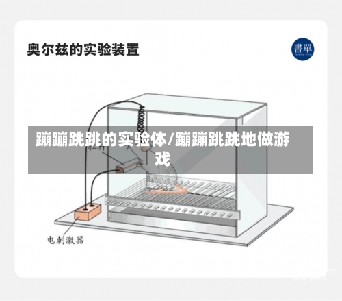 蹦蹦跳跳的实验体/蹦蹦跳跳地做游戏