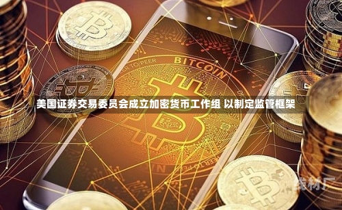 美国证券交易委员会成立加密货币工作组 以制定监管框架