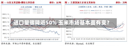 进口量骤降近50% 玉米市场基本面有变？