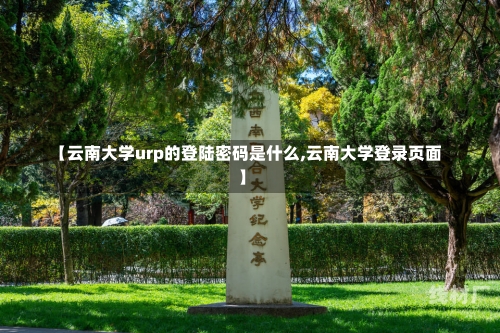 【云南大学urp的登陆密码是什么,云南大学登录页面】