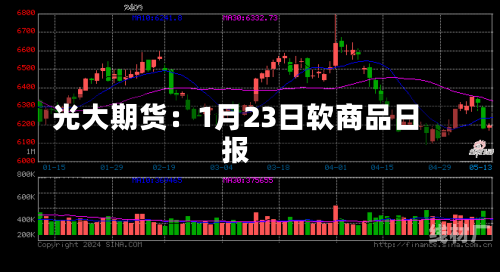 光大期货：1月23日软商品日报