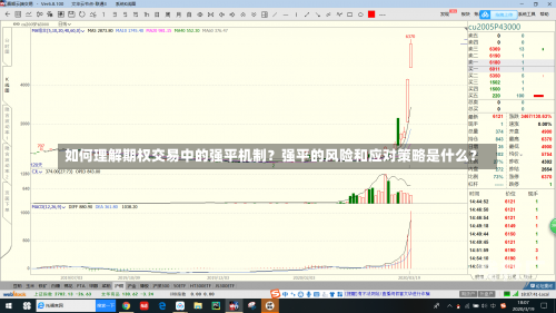 如何理解期权交易中的强平机制？强平的风险和应对策略是什么？