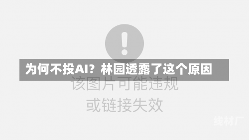 为何不投AI？林园透露了这个原因