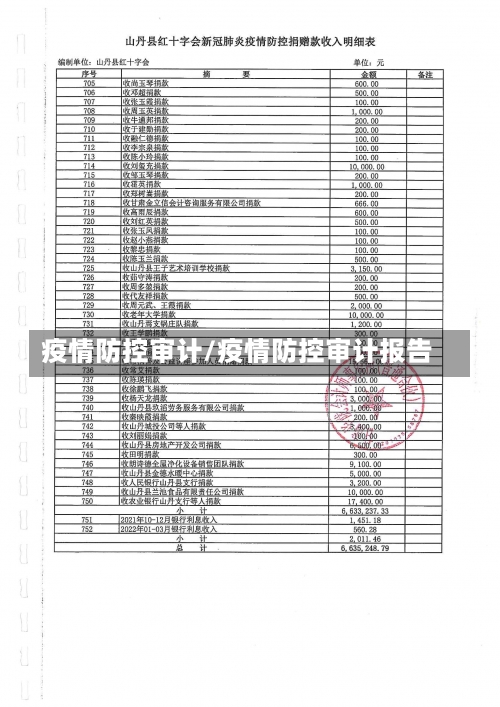 疫情防控审计/疫情防控审计报告