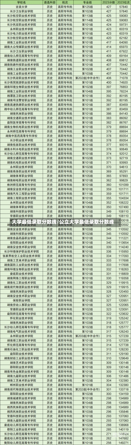 大学最低录取分数线/公立大学最低录取分数线