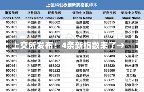 上交所发布！4条新指数来了→