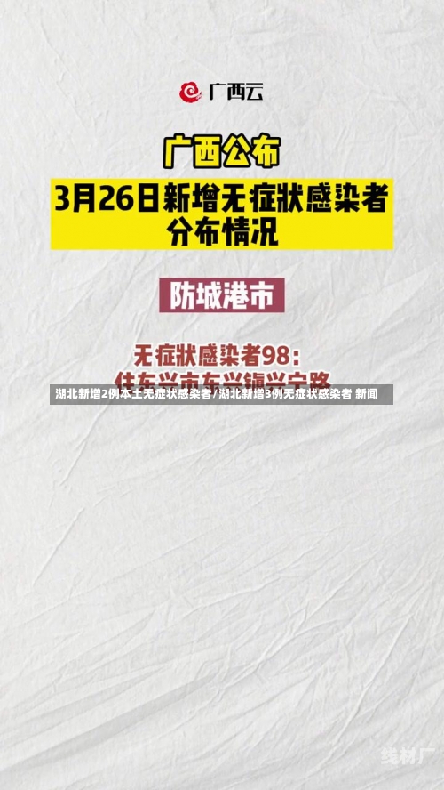 湖北新增2例本土无症状感染者/湖北新增3例无症状感染者 新闻