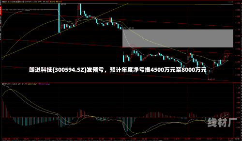 朗进科技(300594.SZ)发预亏，预计年度净亏损4500万元至8000万元