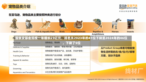 国联安基金规模一年增长23亿元，排名从2023年的41位下降至2024年的46位，下降了5位