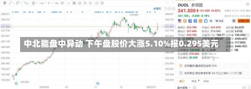 中北能盘中异动 下午盘股价大涨5.10%报0.295美元