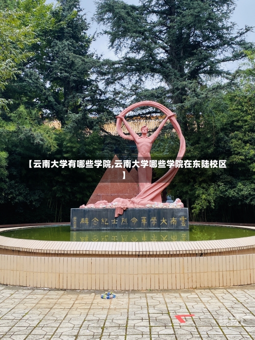 【云南大学有哪些学院,云南大学哪些学院在东陆校区】