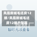 凤凰新城毛坯房12楼/凤凰新城毛坯房12楼户型图