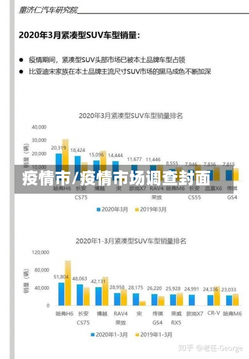 疫情市/疫情市场调查封面