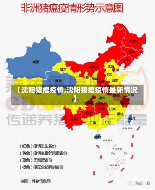 【沈阳猪瘟疫情,沈阳猪瘟疫情最新情况】