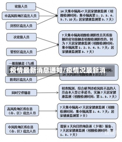 疫情最新消息通知/疫情况最新消