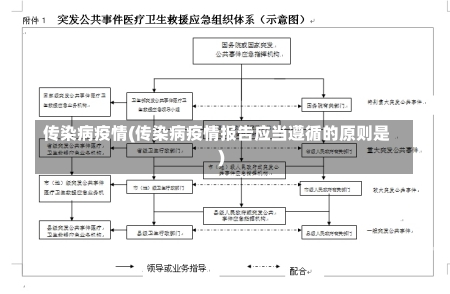 传染病疫情(传染病疫情报告应当遵循的原则是)