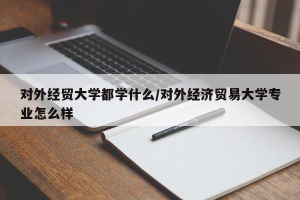 对外经贸大学都学什么/对外经济贸易大学专业怎么样