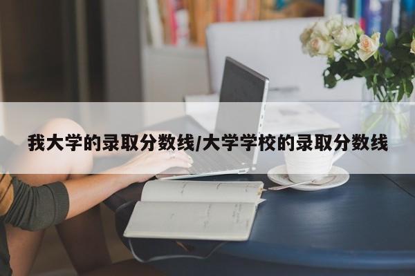 我大学的录取分数线/大学学校的录取分数线